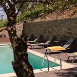 Feel Discovery Alvim's Douro Folgosa (Viseu)