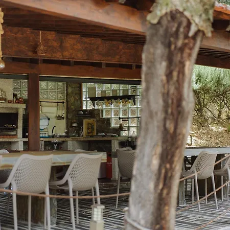 Feel Discovery Alvim's Douro * Folgosa (Viseu)