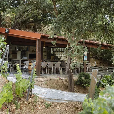 Villa Feel Discovery Alvim's Douro