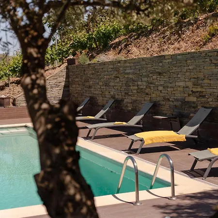 Feel Discovery Alvim's Douro Folgosa