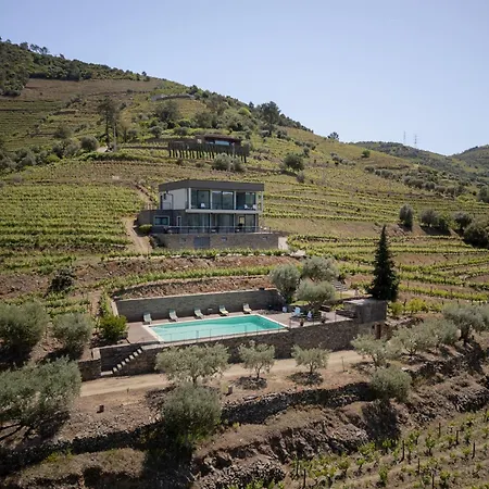 Feel Discovery Alvim's Douro *