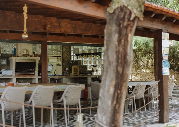 Feel Discovery Alvim's Douro * Folgosa (Viseu)