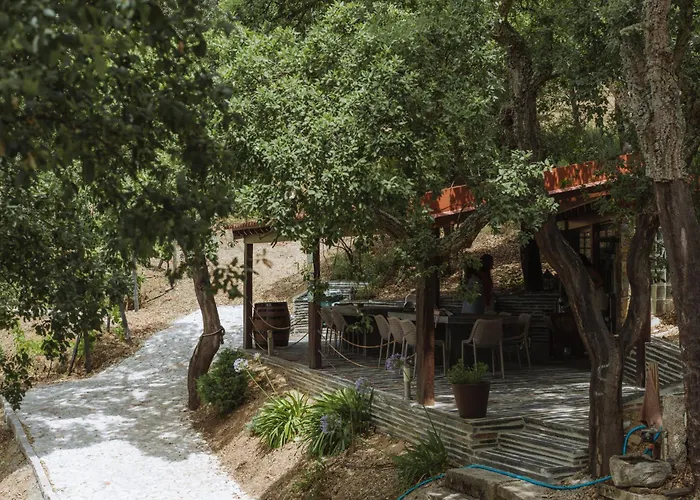 Villa Feel Discovery Alvim's Douro Folgosa (Viseu)