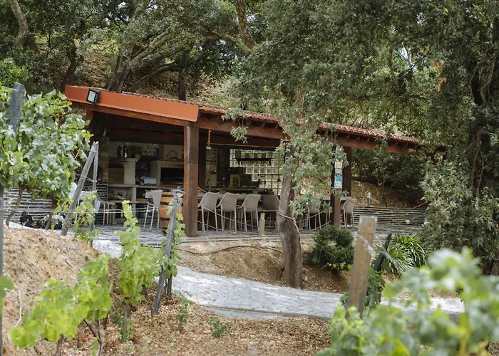 Villa Feel Discovery Alvim's Douro