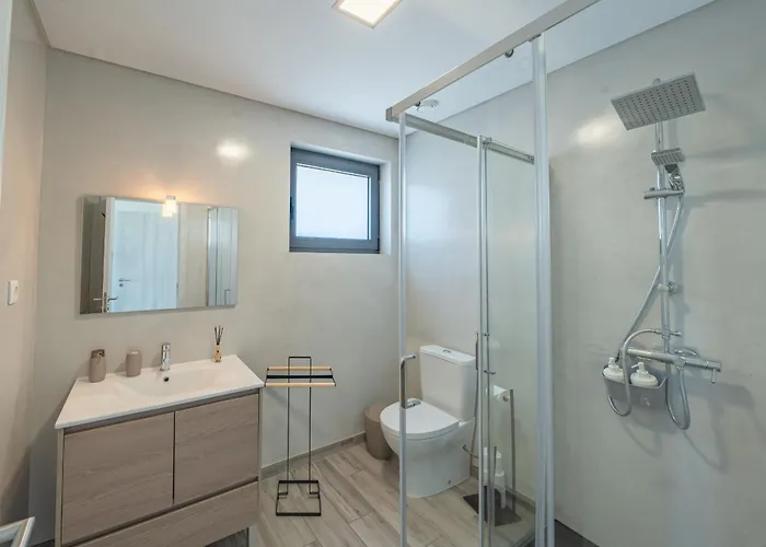 Feel Discovery Alvim's Douro * Folgosa (Viseu)