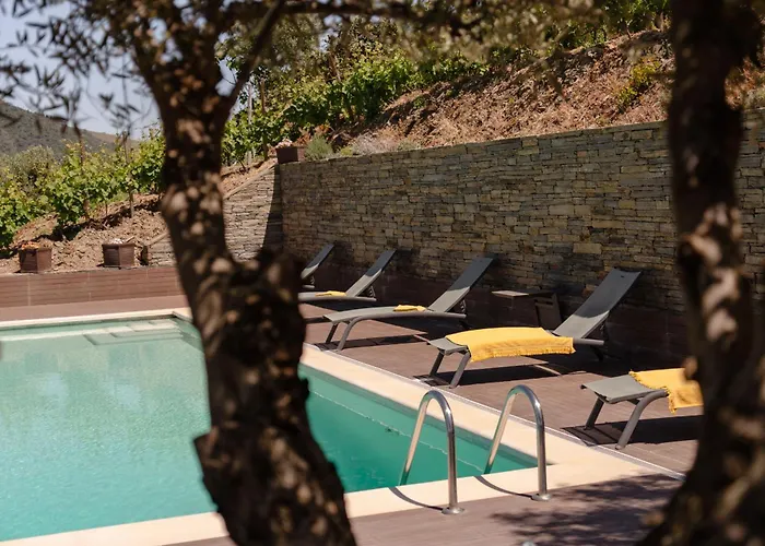 Feel Discovery Alvim's Douro Folgosa (Viseu)