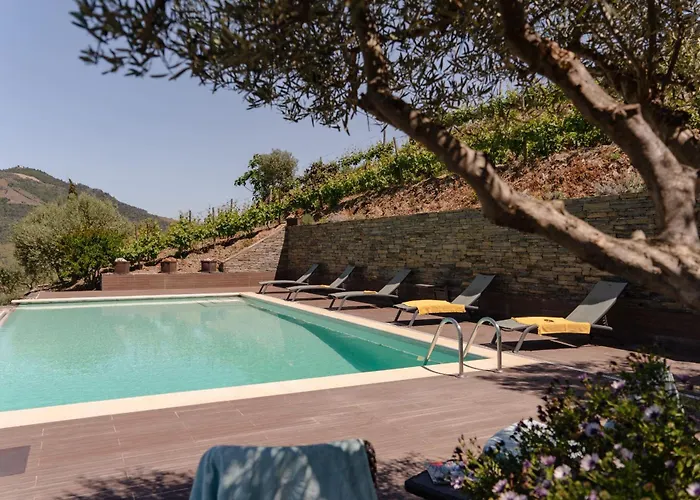 Feel Discovery Alvim's Douro *