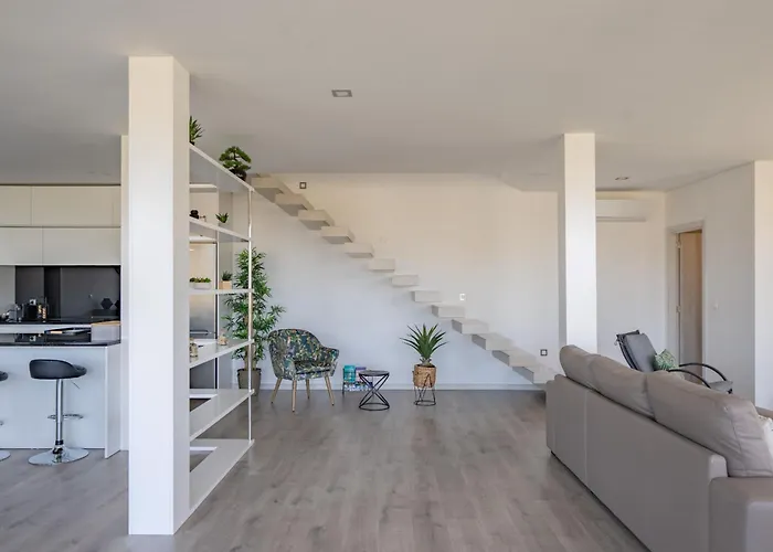 Feel Discovery Alvim's Douro *